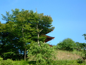岡寺の三重宝塔