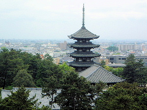 興福寺五重塔　奈良県庁屋上からの眺め