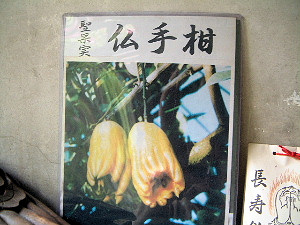 仏手柑飴　長寿飴　新薬師寺