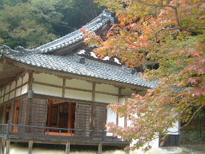 正暦寺本堂と紅葉