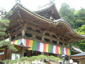 岡寺の本堂