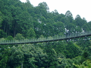黒滝吊橋