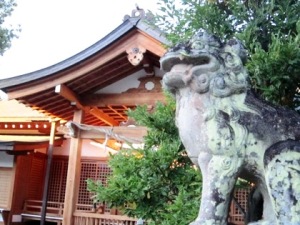 多神社の狛犬