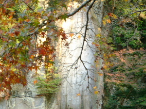 紅葉越しに見える大磨崖仏　大野寺