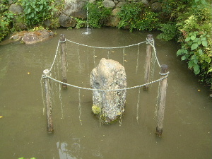 岡寺の龍蓋池