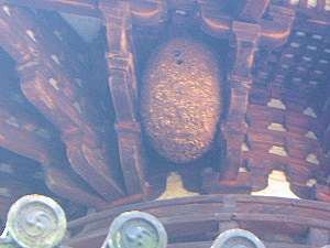 スズメバチの巣　吉田寺の多宝塔