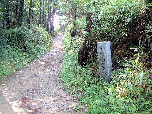 檜原神社へ伸びる山の辺の道